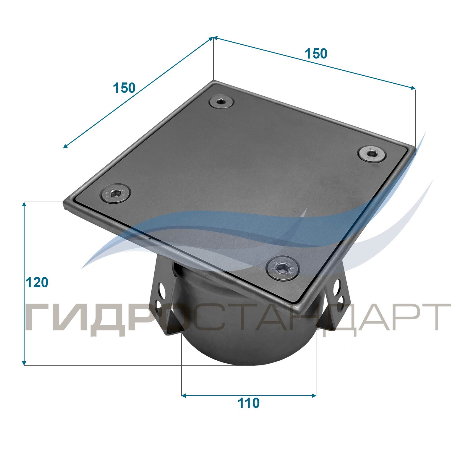 Ревизионный трап (прочистка) Rw150/110